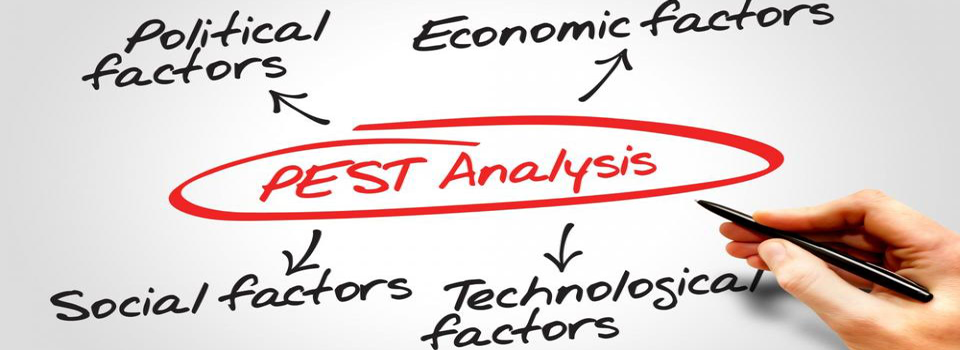 pest analysis MBA MCI DHBK